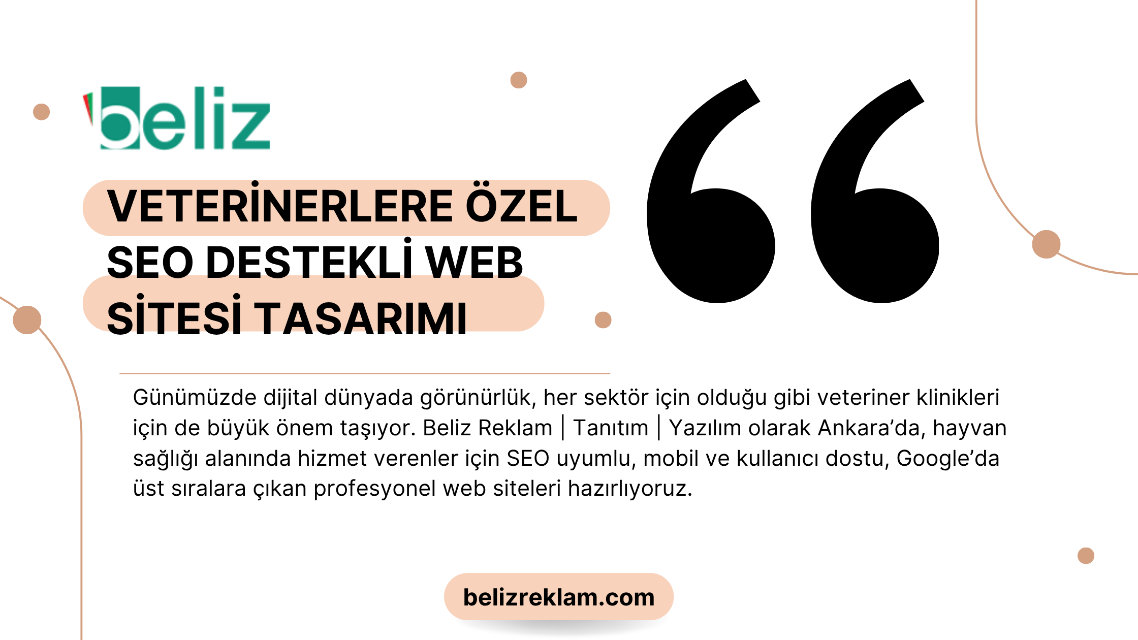 Veterinerlere Özel SEO Destekli Web Sitesi Tasarımı